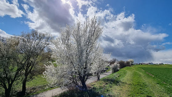 Gemeinde Neustetten