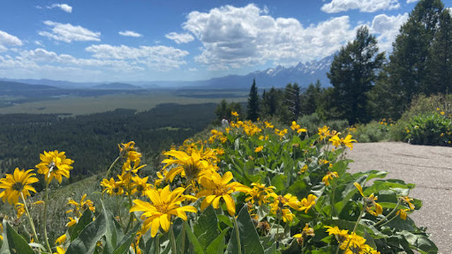 Signal Mountain Summit Road