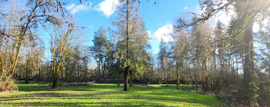 McCormick Disc Golf Course
