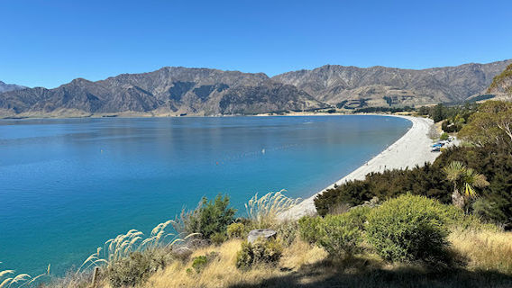 Lake Hawea The Wedding Tree