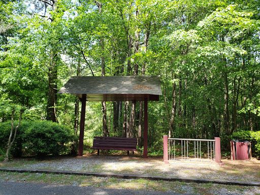 Dora Walking Track