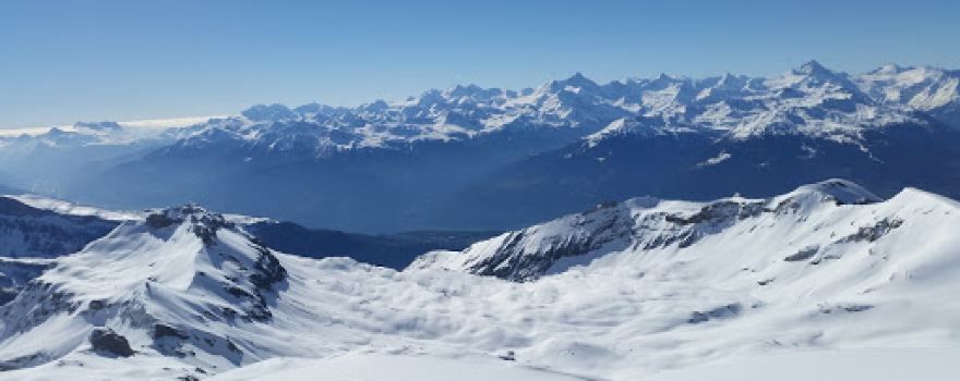 Wildhorn