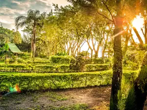 Ecologica Do Sahy Reserve
