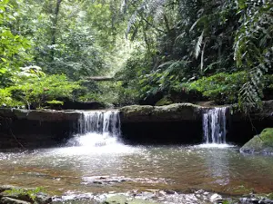 Wasai Teraja Trail