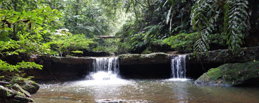 Wasai Teraja Trail