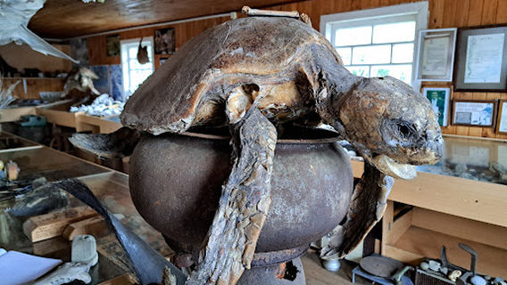 Museo Prehistórico de Quilo