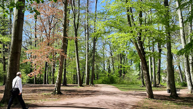 Wald Park