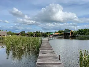 Mangrove Forest