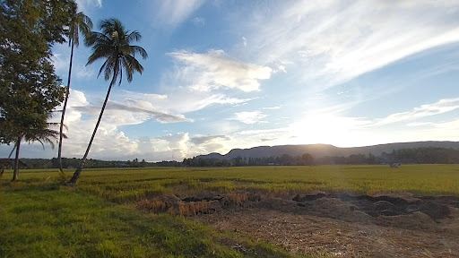 Sunset kampung jawa