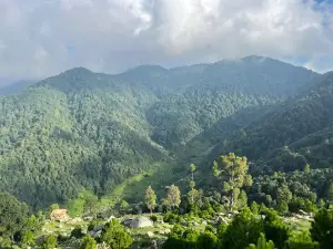 Malka MAHABAN مہابن جنگل