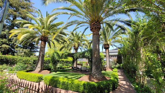 Caymus Vineyards