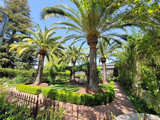 Caymus Vineyards
