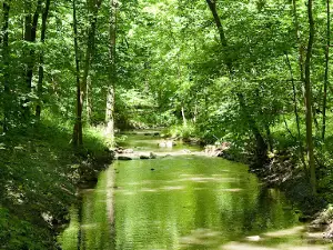 Hammel Woods - DuPage River Access