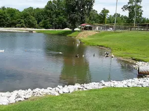 Brownstown Public Park