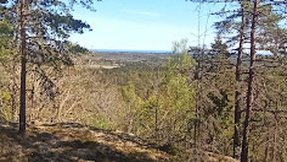 Rannebergets naturreservat