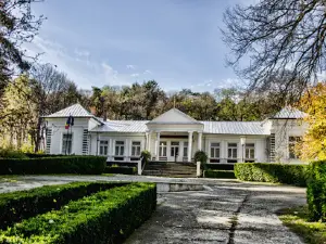 Secția „Dumitru şi Alice Rosetti Tescanu - George Enescu”