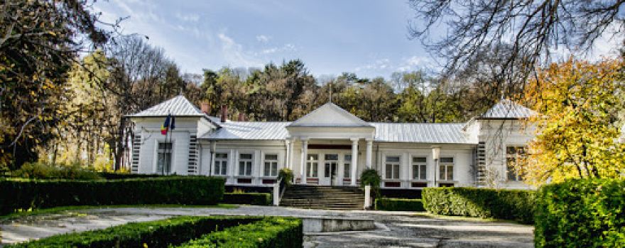 Secția „Dumitru şi Alice Rosetti Tescanu - George Enescu”