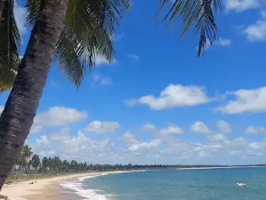 Catamarã Água Viva Passeios em Carneiros