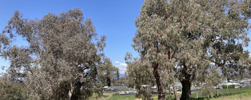 Kiewa River Walking Track North