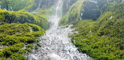Waterfall At Chisatoare