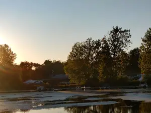 Martin's Marina Inc