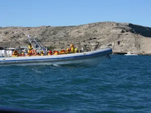 Puerto pirámides costanera