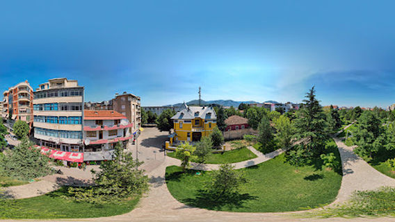 "Gjon Mili" Photography Museum