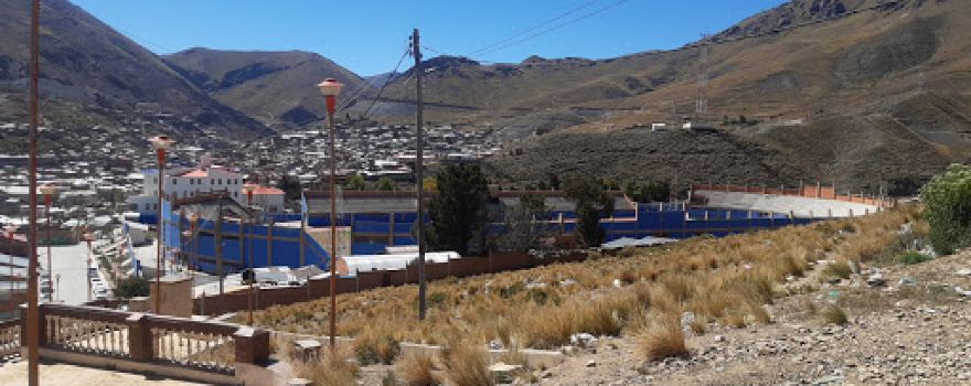 Estadio Manuel Flores