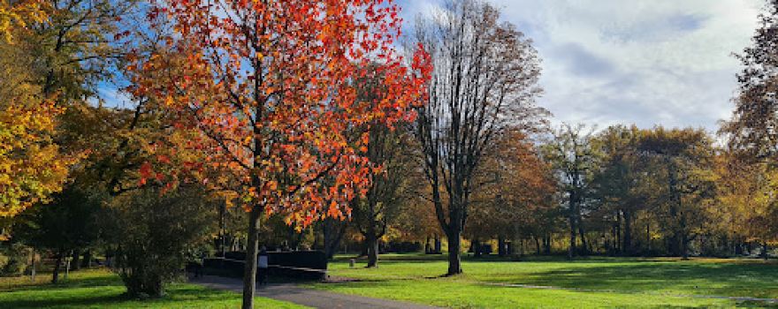 Wörth Bürgerpark