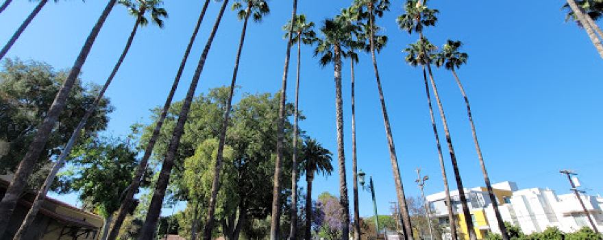 Plummer Park