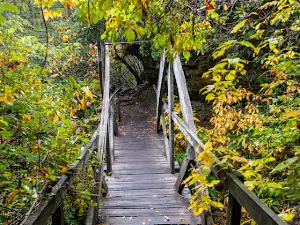 Vanhook Falls Trailhead