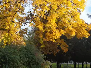 Ternovsky Park