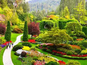 KHAWJA FARID PARK