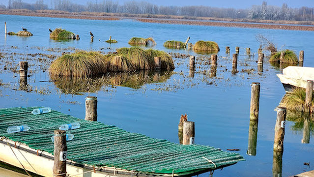 La Spiaggetta Societa' Cooperativa