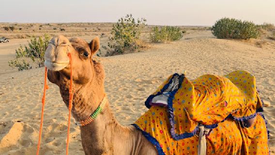 Sam Desert Point for Camel Safari , Jeep Safari