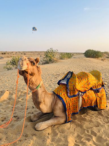Sam Desert Point for Camel Safari , Jeep Safari