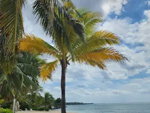 Spotts Public Beach