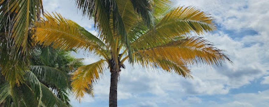 Spotts Public Beach