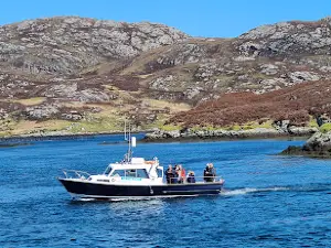 Lady Anne Wildlife Cruises