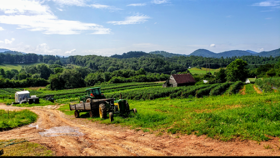 J W Mitchell Farms