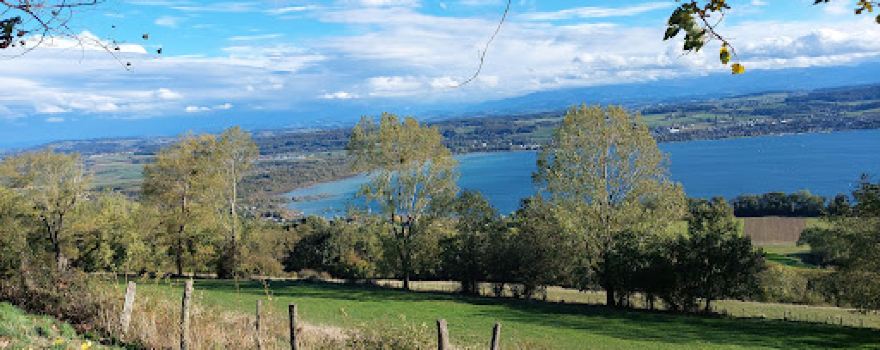 Mont Vully