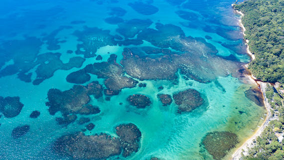 Blue Feels Tours Caribe