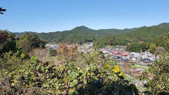 Chomin Ikoinomori Park