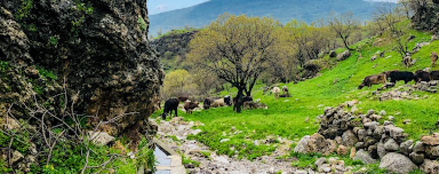 Old Razyan vilage - ڕەزیا کەڤن
