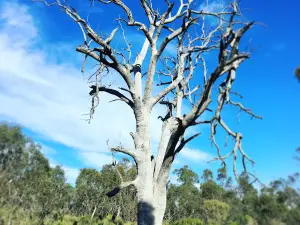 Wooroloo Regional Park