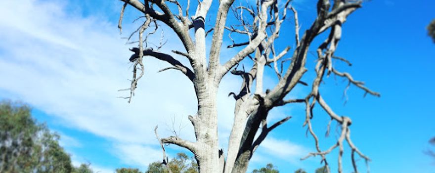 Wooroloo Regional Park