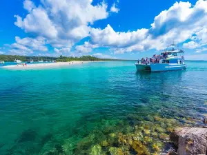 JERVIS BAY WILD CRUISES