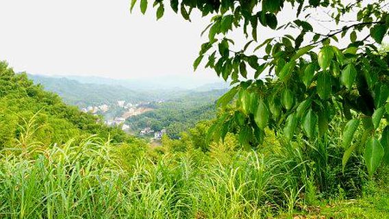 Taohuahu Scenic Area