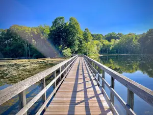 Rowden Park