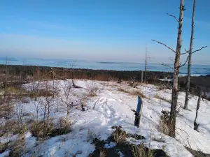 Tumninskiy Gosudarstvennyy Prirodnyy Zakaznik